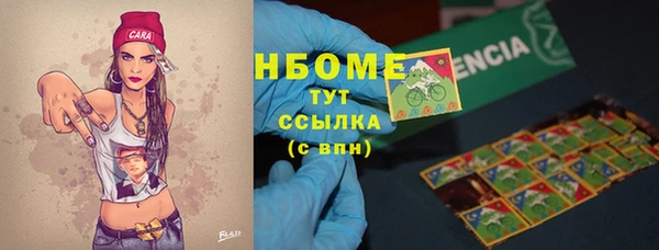 прущие грибы Алзамай