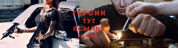 прущие грибы Алзамай