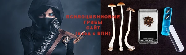 прущие грибы Алзамай